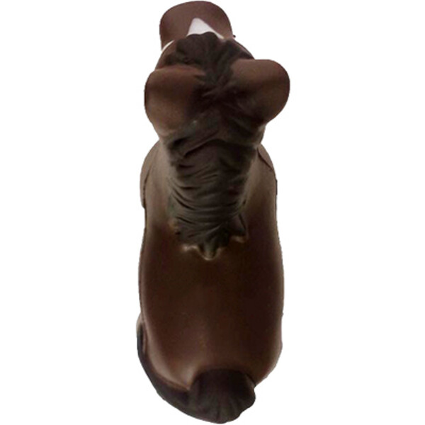 Top View