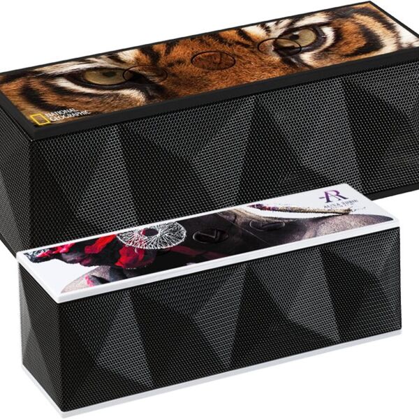 RoxBox Duet Bluetooth Speaker Thumbnail