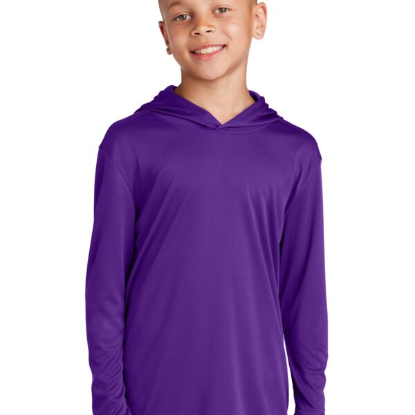Youth PosiCharge Competitor Hooded Pullover Thumbnail